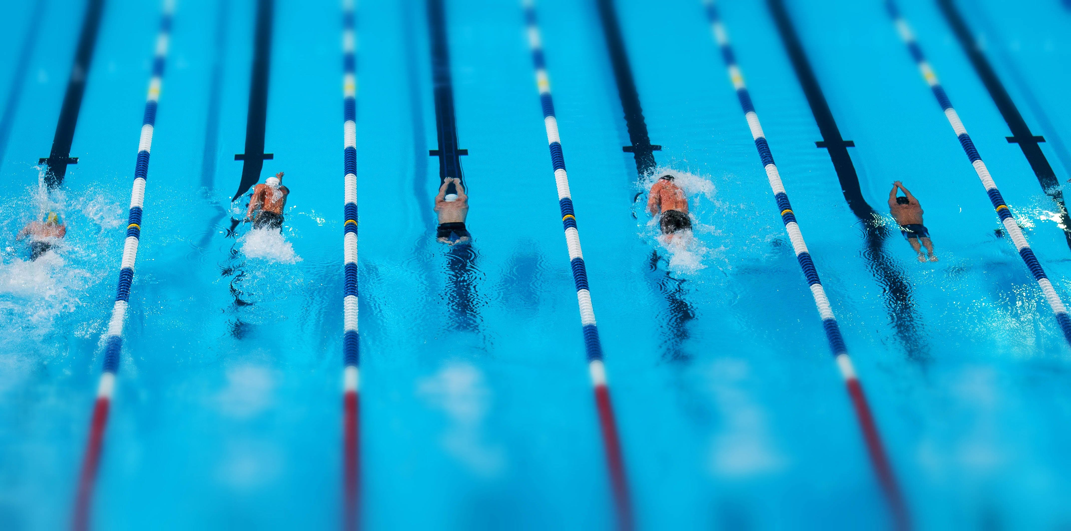 A Group of people participating in a swimming race